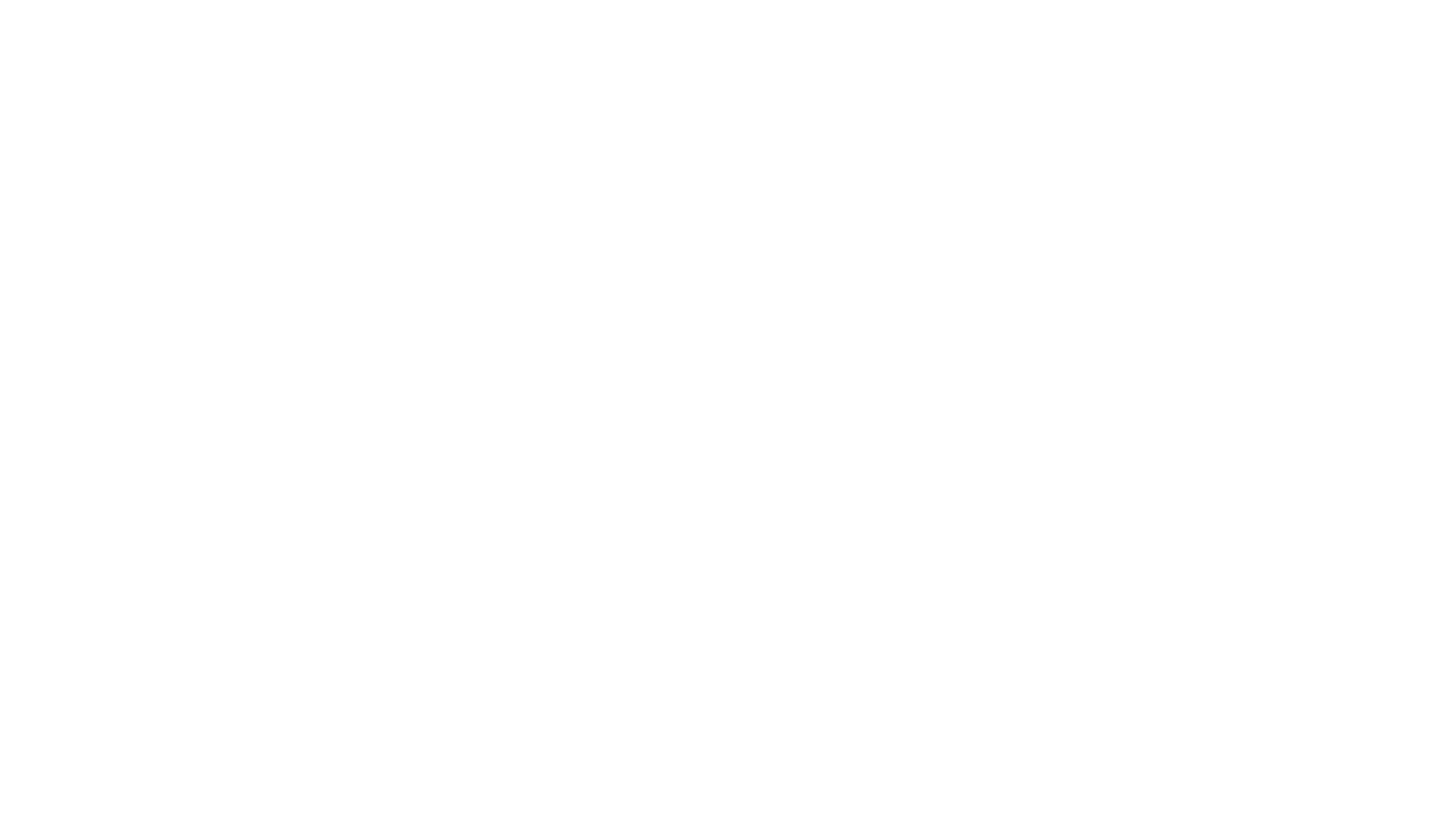 FLZN. Archive